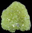 Sulfur Crystals on Matrix - Bolivia #51573-1